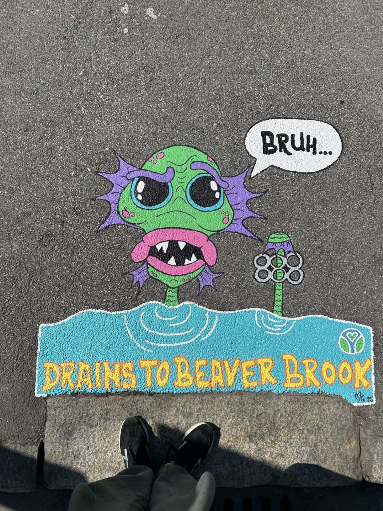 Mural of a cartoon monster from "Creature from the Black Lagoon" with green and purple features, popping up from water holding a six-pack ring. A speech bubble says “Bruh…” with the message “Drains to Beaver Brook” painted in bold yellow and orange letters.