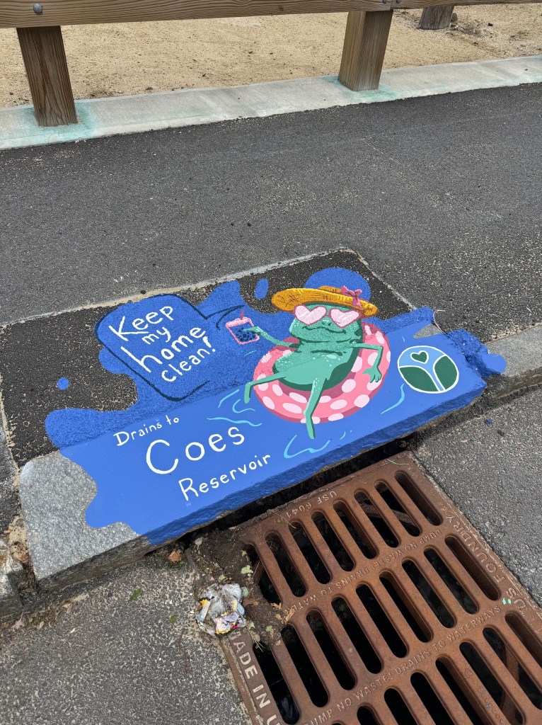 Sidewalk painting of a relaxed frog wearing heart sunglasses, sipping a drink while floating on a pink polka-dot inner tube. The message reads: “Keep my home clean! Drains to Coes Reservoir.”