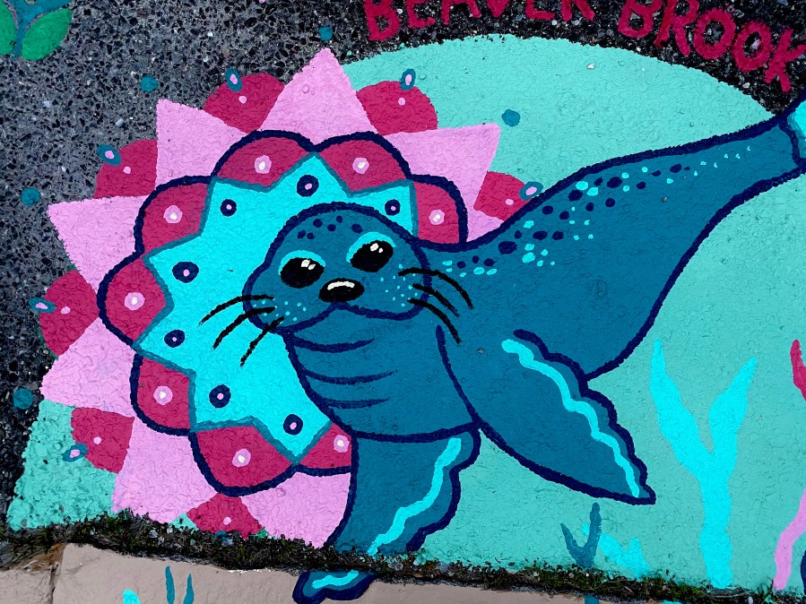 Close-up detail of the colorful storm drain mural showing the blue seal’s face and surrounding pink and teal mandala pattern. The text “DRAINS TO BEAVER BROOK” is partially visible.