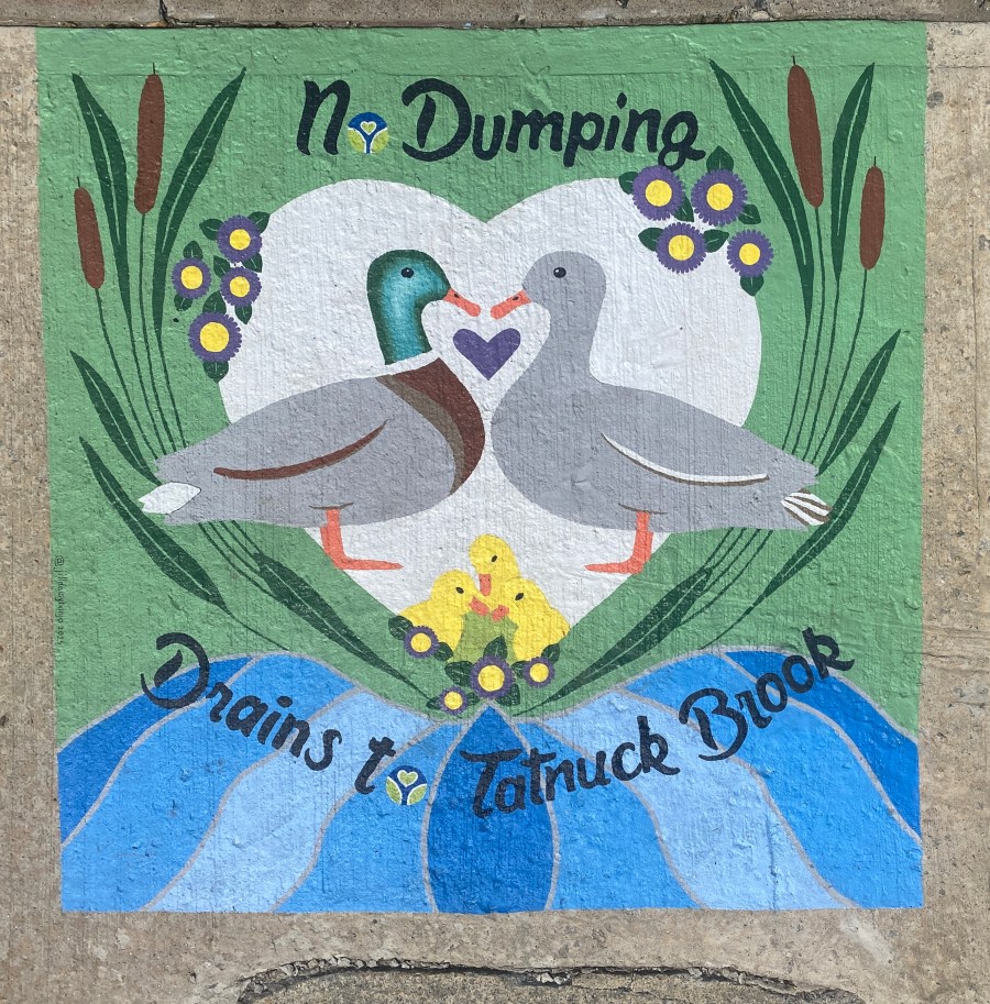 Storm drain mural depicting two ducks facing each other inside a heart shape, with three ducklings below. The artwork is framed by cattails and flowers with the text “No Dumping – Drains to Tatnuck Brook.”