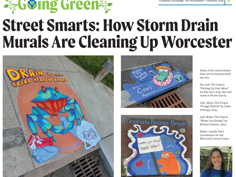 Street Smarts: How Storm Drain Murals Are Cleaning Up&nbsp;Worcester